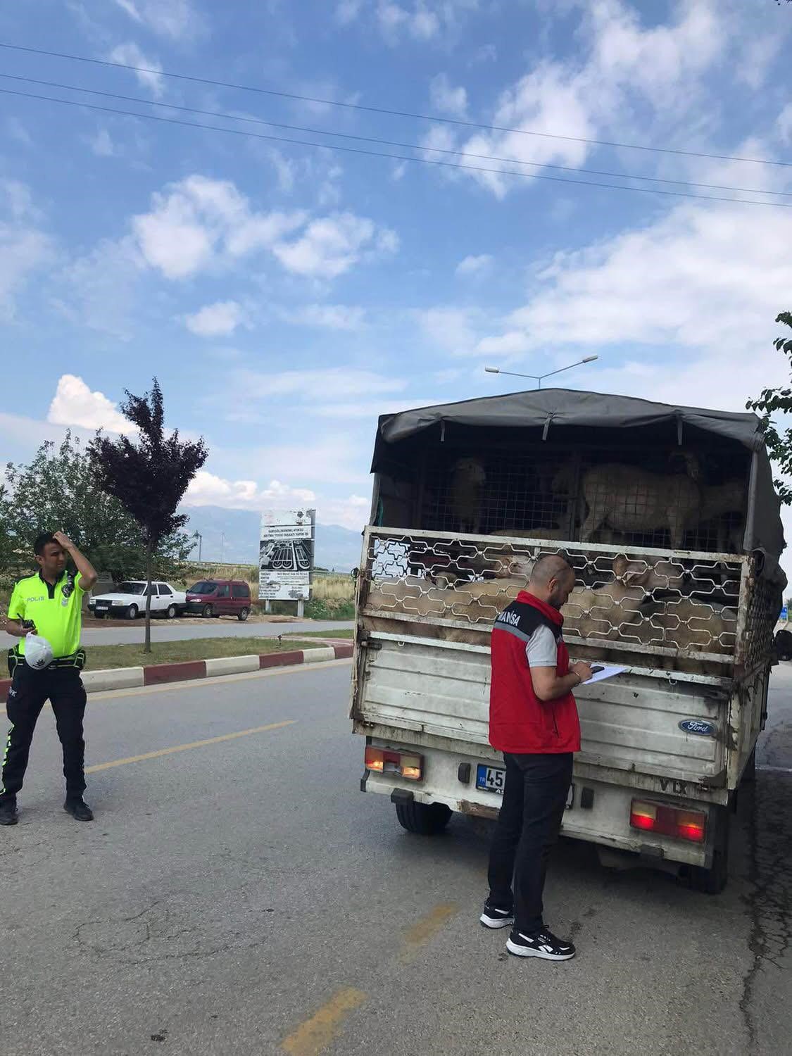 Sarıgöl’de kurbanlık giriş ve çıkışlarına sıkı denetim 