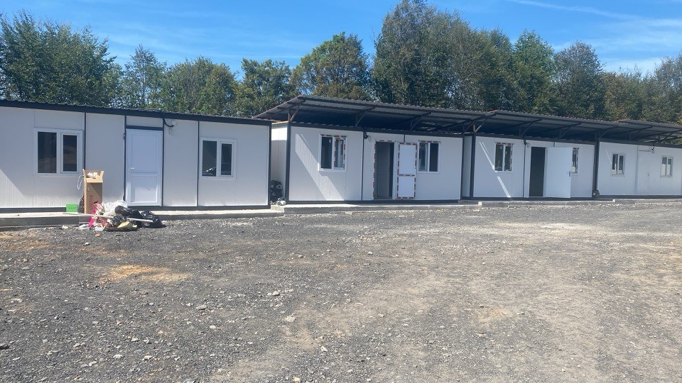 Alaplı’da sahipsiz hayvanlar toplanıyor 