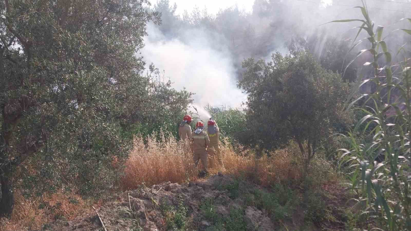 Mersin’de tarım arazisinde çıkan yangın korkuttu