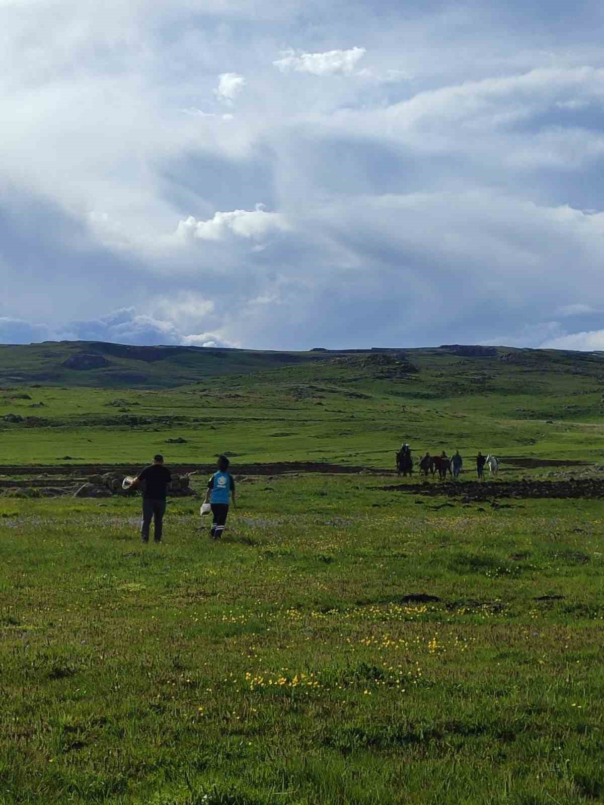 Kars’ta yaylada kayalıktan düşen çoban yaralandı 