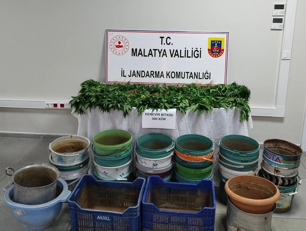 Malatya’da jandarmadan uyuşturucu operasyonu: 6 gözaltı 