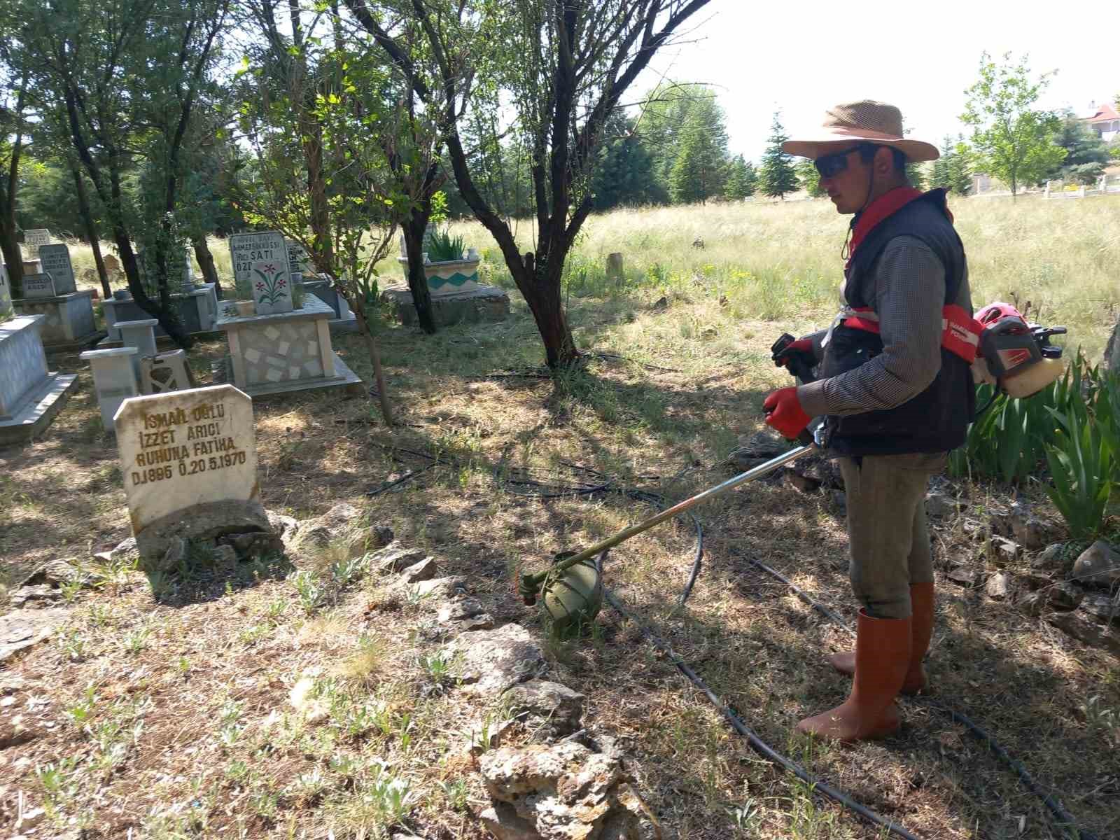 Yarımca köyü yabancı otlardan temizleniyor 