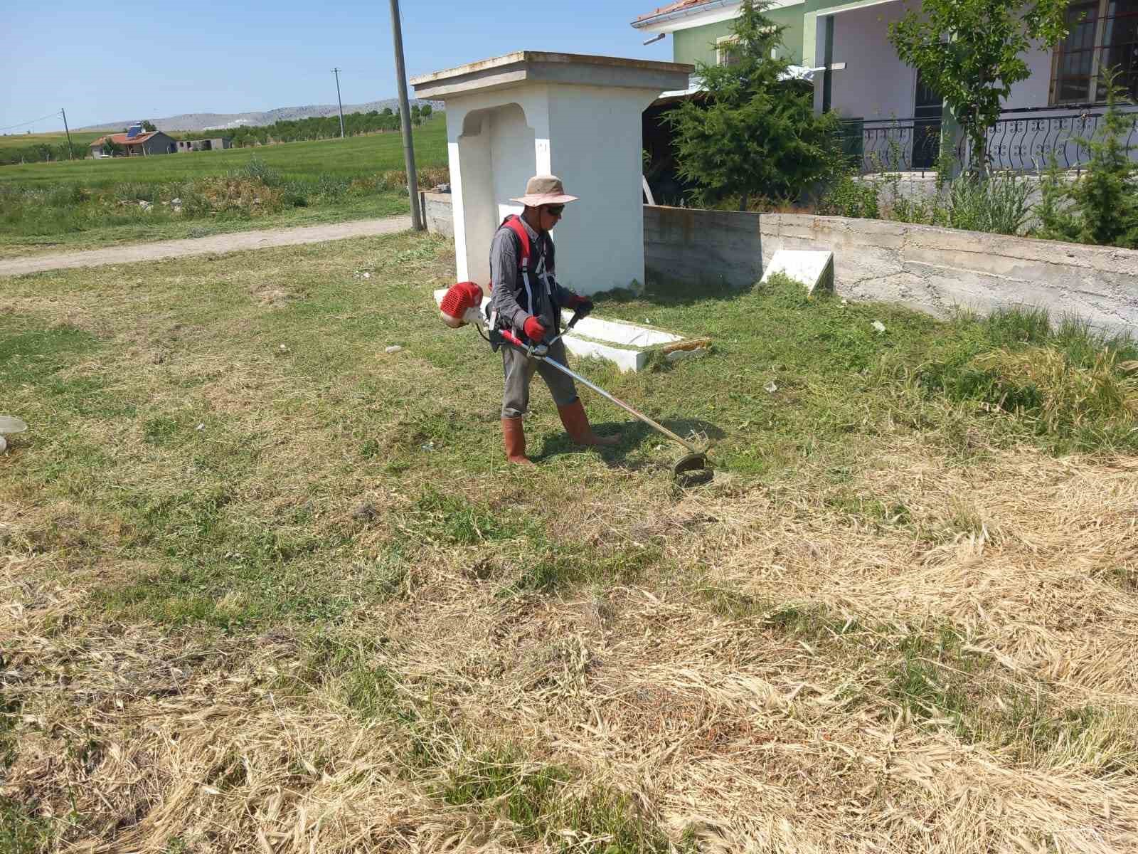 Yarımca köyü yabancı otlardan temizleniyor 