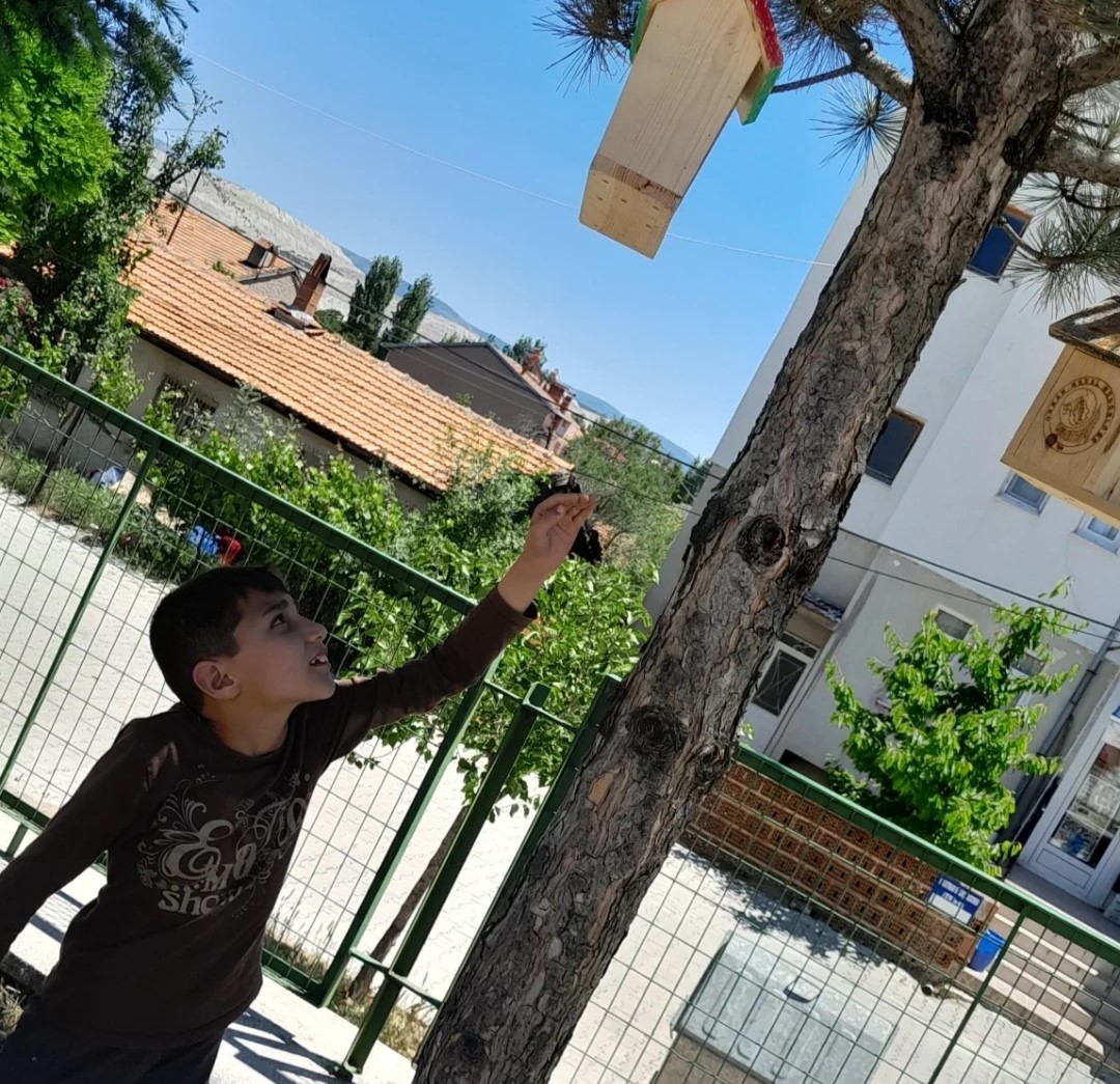 Hisarcık’ta minik öğrenciler ağaçlara kuş yuvası astı 