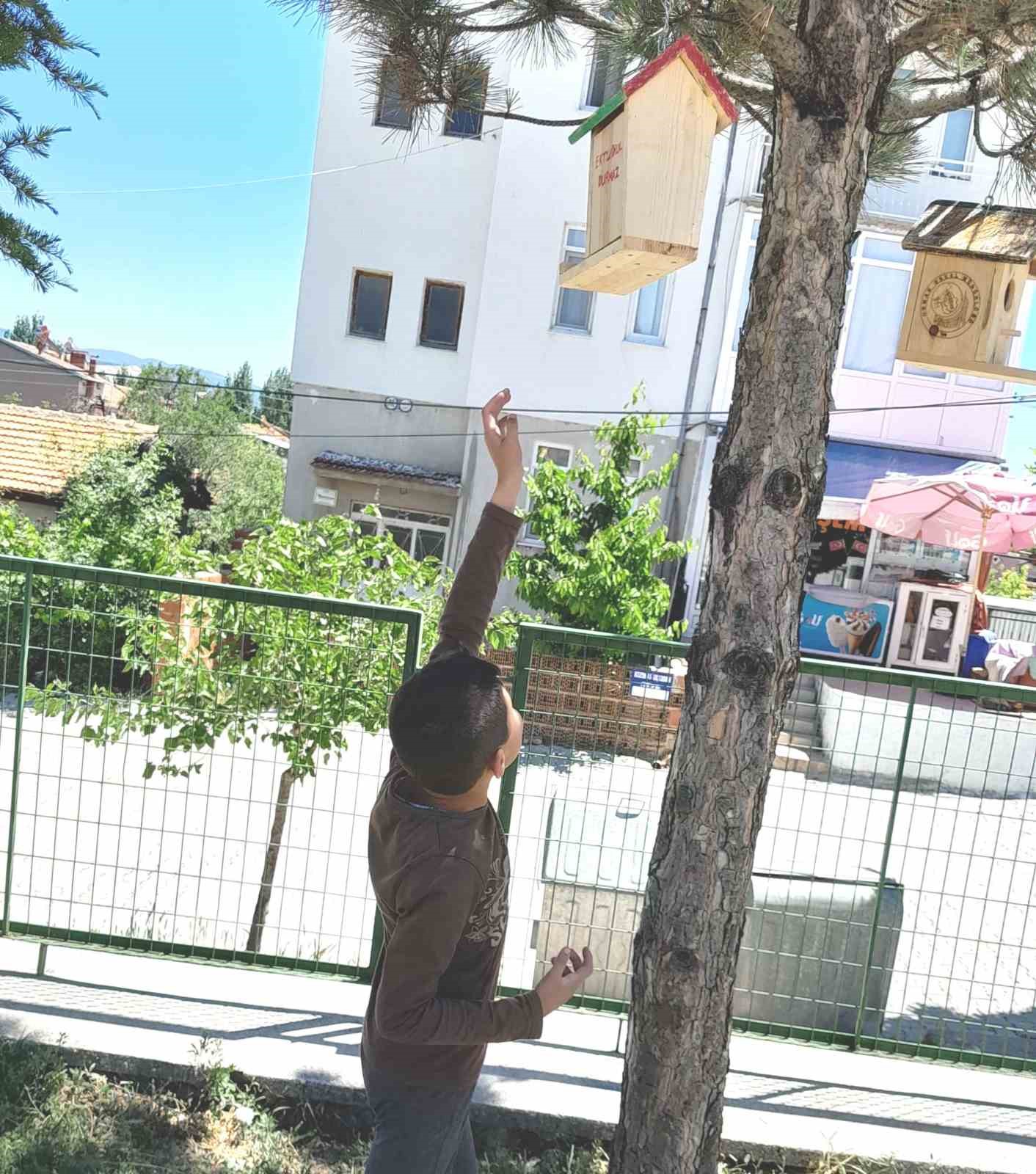 Hisarcık’ta minik öğrenciler ağaçlara kuş yuvası astı 
