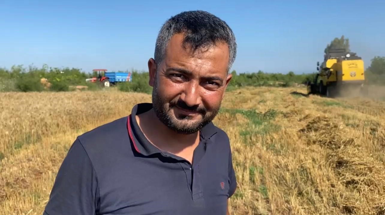 Osmaniye’de mevsim nedeniyle buğday hasadı geç başladı 
