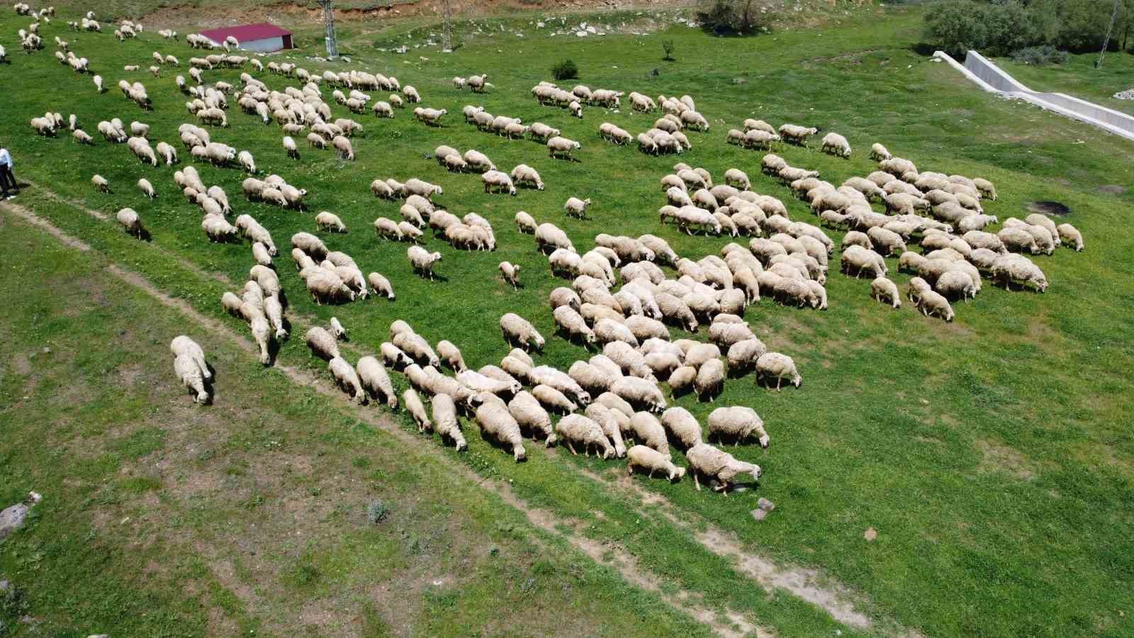 Uzmanı uyardı, 