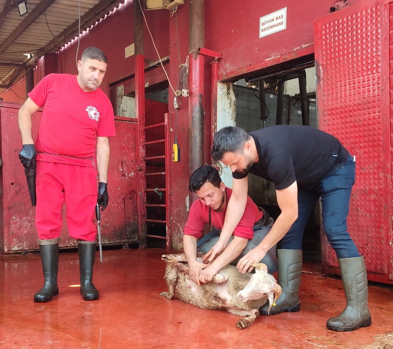 Salihli’de kurban kesimini uygulamalı öğrendiler 