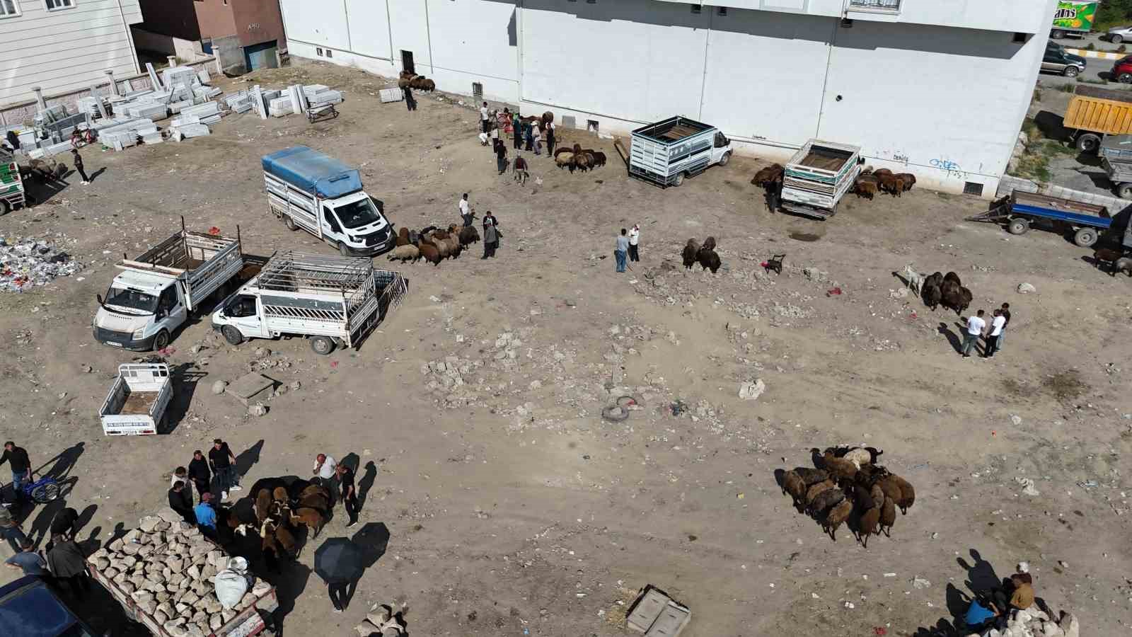 Iğdır’da bayrama 1 gün kala kurbanlık telaşı havadan görüntülendi