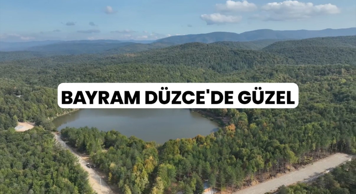 Vali Aslan: 