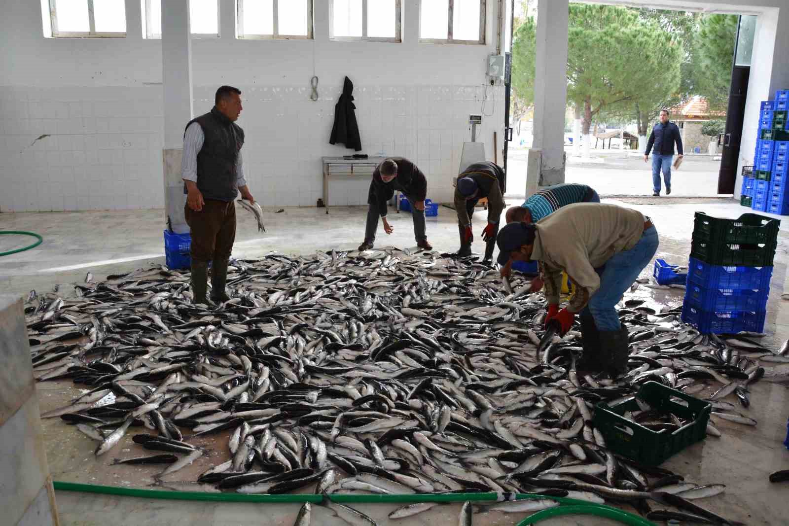 Muğla Mayıs ayında ihracatını yüzde 11 arttırdı