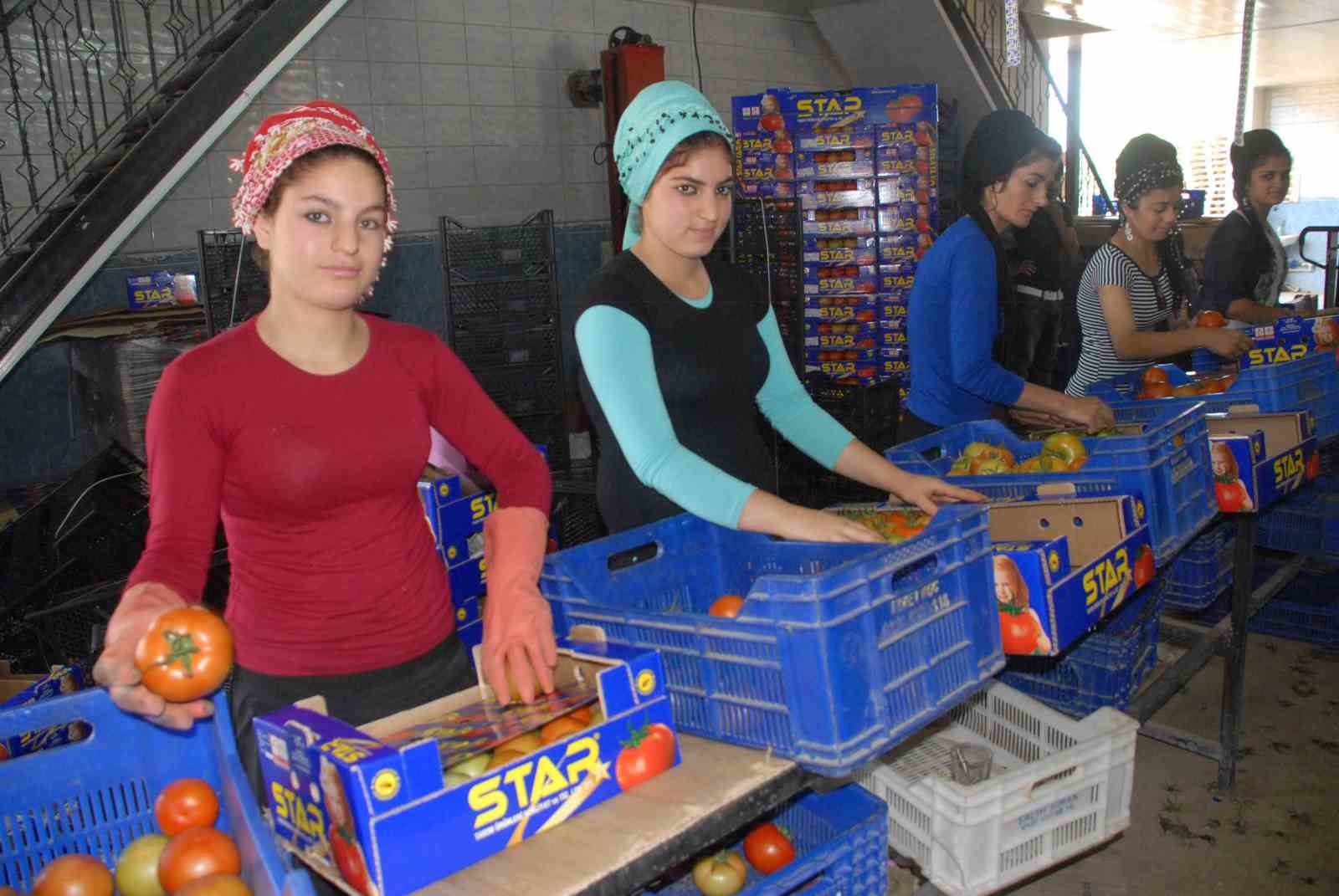 Muğla Mayıs ayında ihracatını yüzde 11 arttırdı 