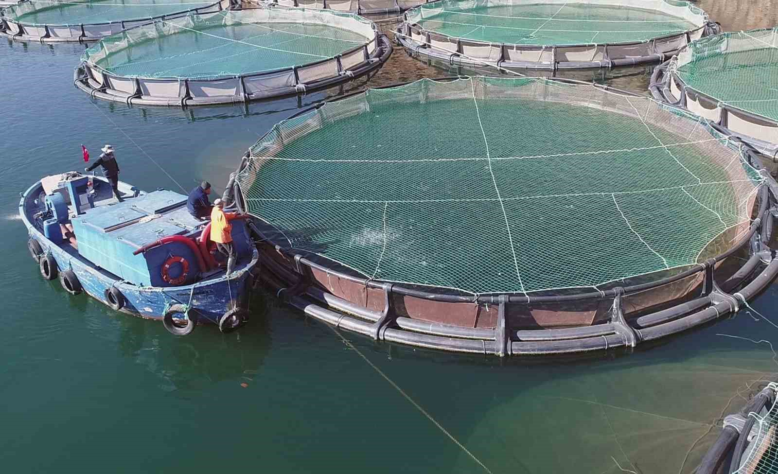 Muğla Mayıs ayında ihracatını yüzde 11 arttırdı 