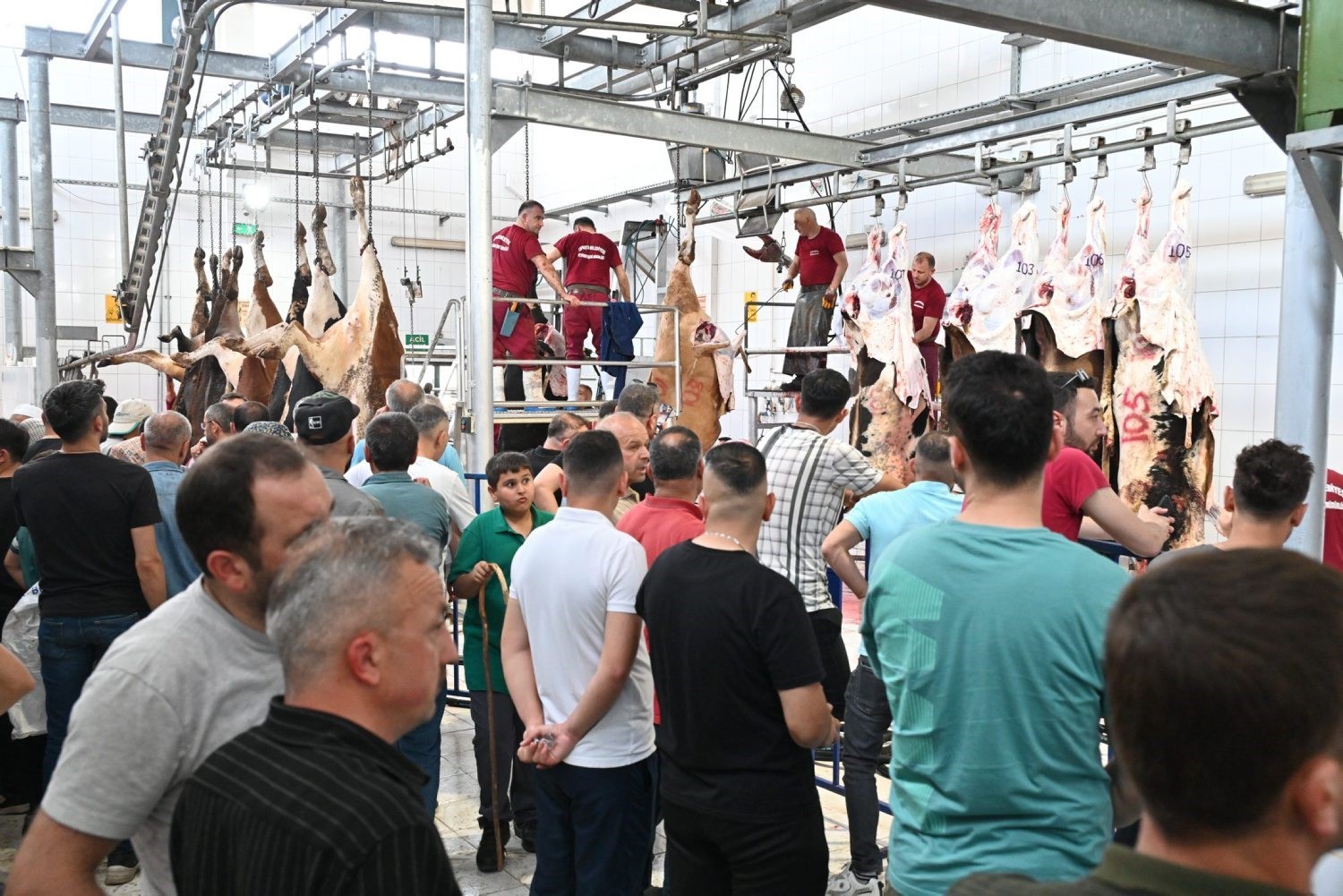 Mezbahada 250 büyükbaş kurban kesimi gerçekleştirildi