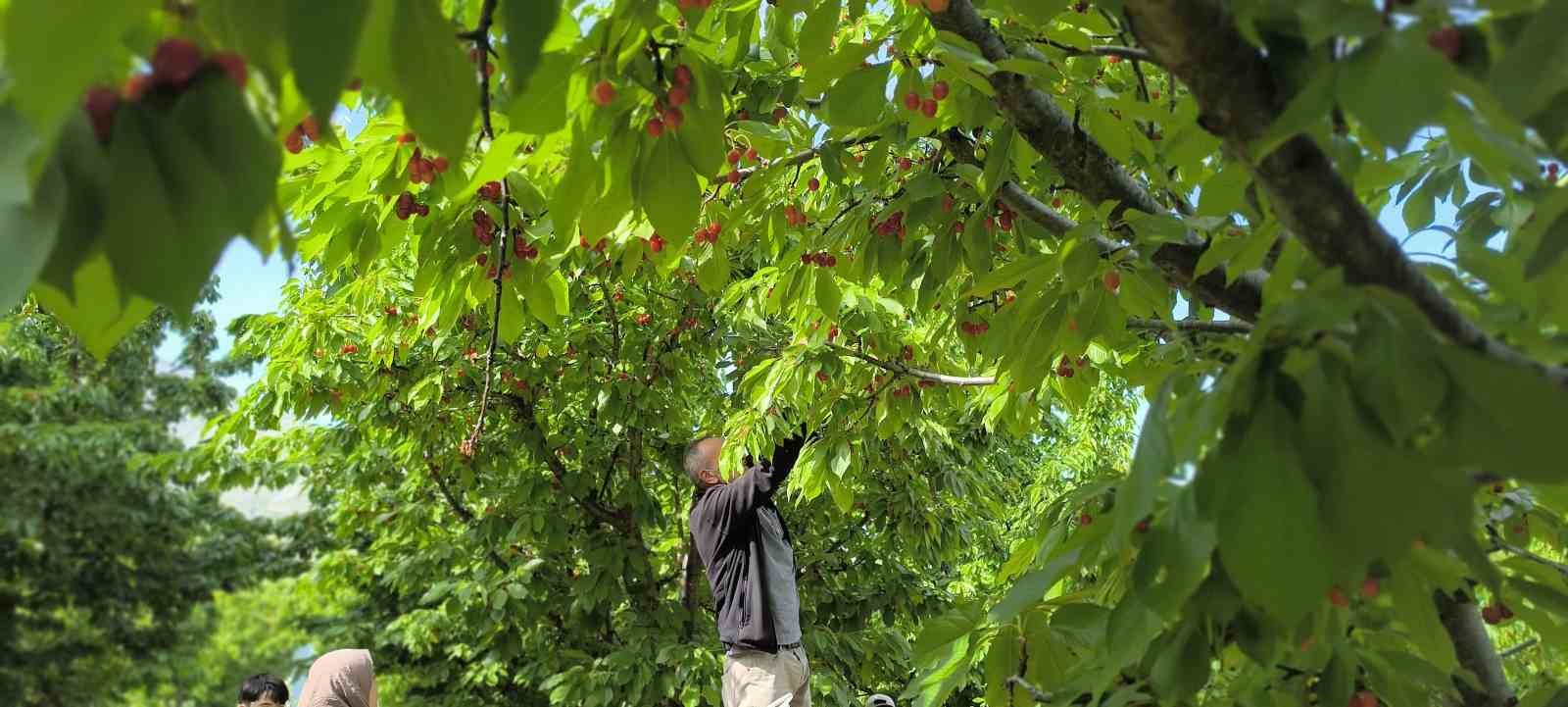 Doğayla iç içe lezzetli bir deneyim 