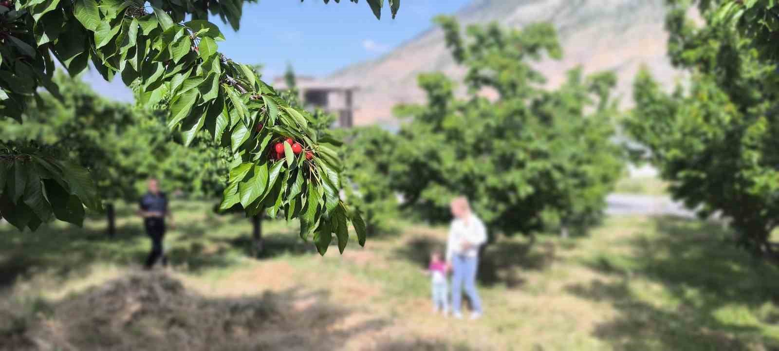 Doğayla iç içe lezzetli bir deneyim 