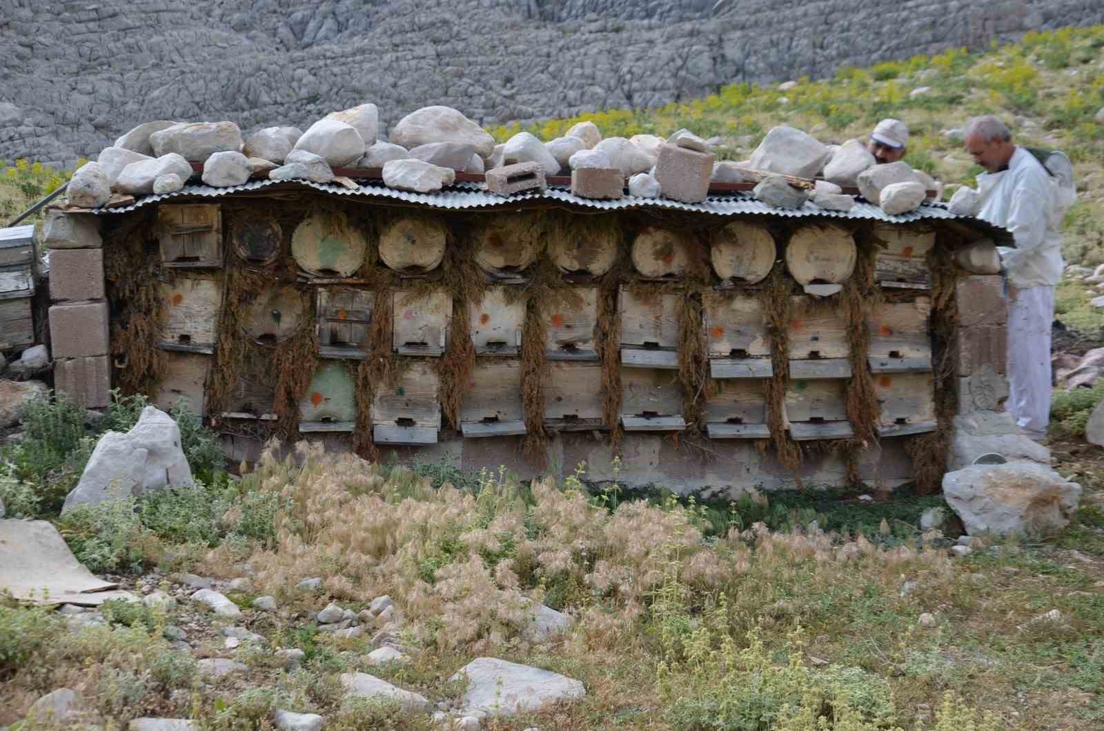 Antalya’da arıcılar kara kovanlarını yüksek kesimlerdeki yaylalara çıkardı 