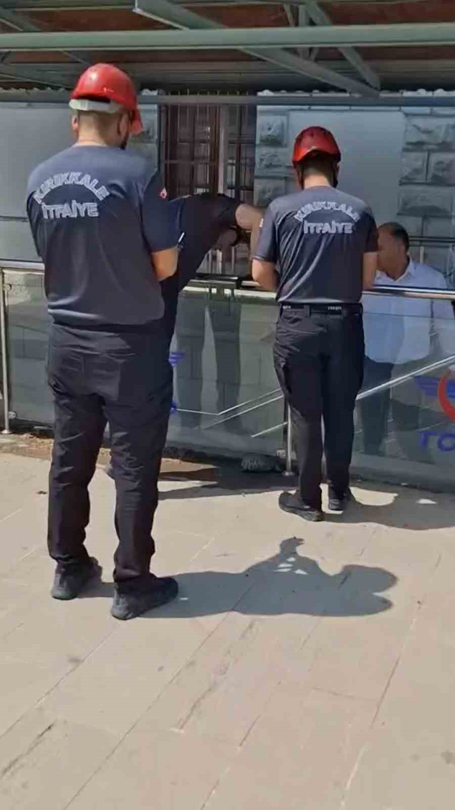 Kırıkkale’de cam korkuluk ile zemin arasına sıkışan kaplumbağayı itfaiye kurtardı 