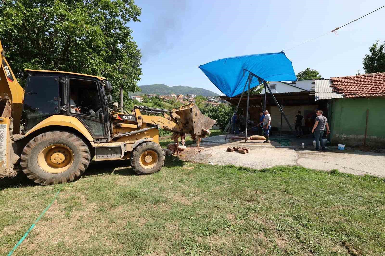 Başiskele’de kurban atıkları toplanıyor 