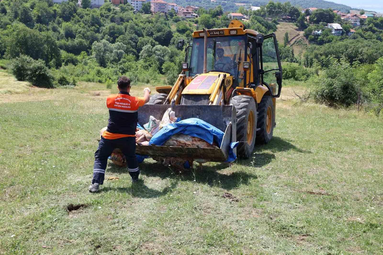 Başiskele’de kurban atıkları toplanıyor 