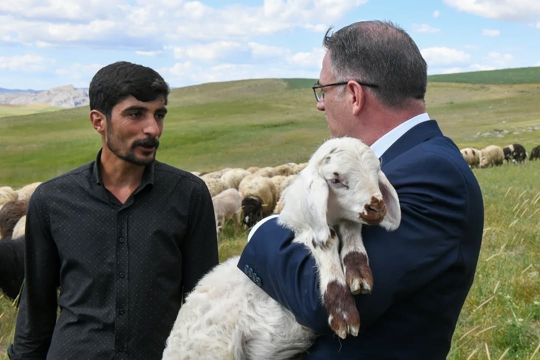 Van’da 3 yılda 2 bin 375 çiftçiye 235 bin koyun desteği verildi 