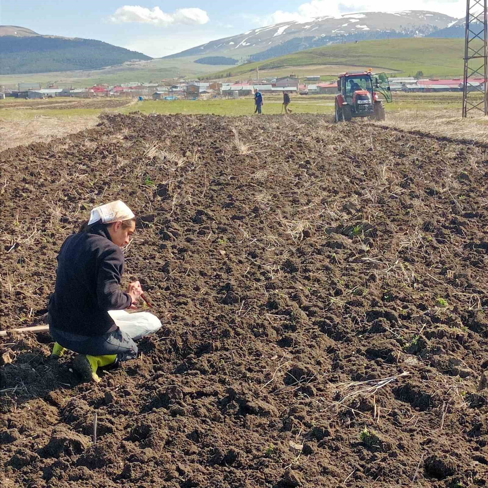 Ardahan’da çiftçilere verimli toprak eğitimi verildi 