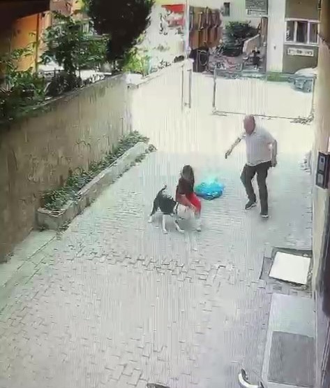 Ataşehir’de pitbull cinsi köpeğin çocuğa saldırdığı anlar kamerada 