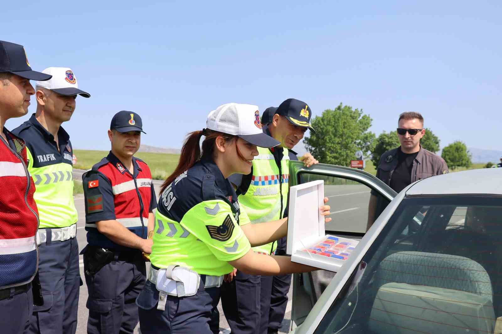 İl Jandarma Komutanlığı Dedebağı, yol denetimlerine katıldı 