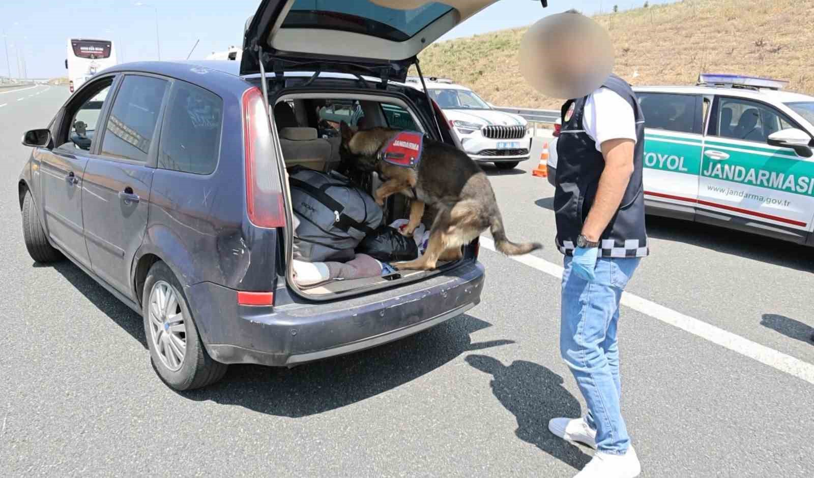 Koklayıp bulduğu uyuşturucuyu patisiyle böyle çıkarttı 