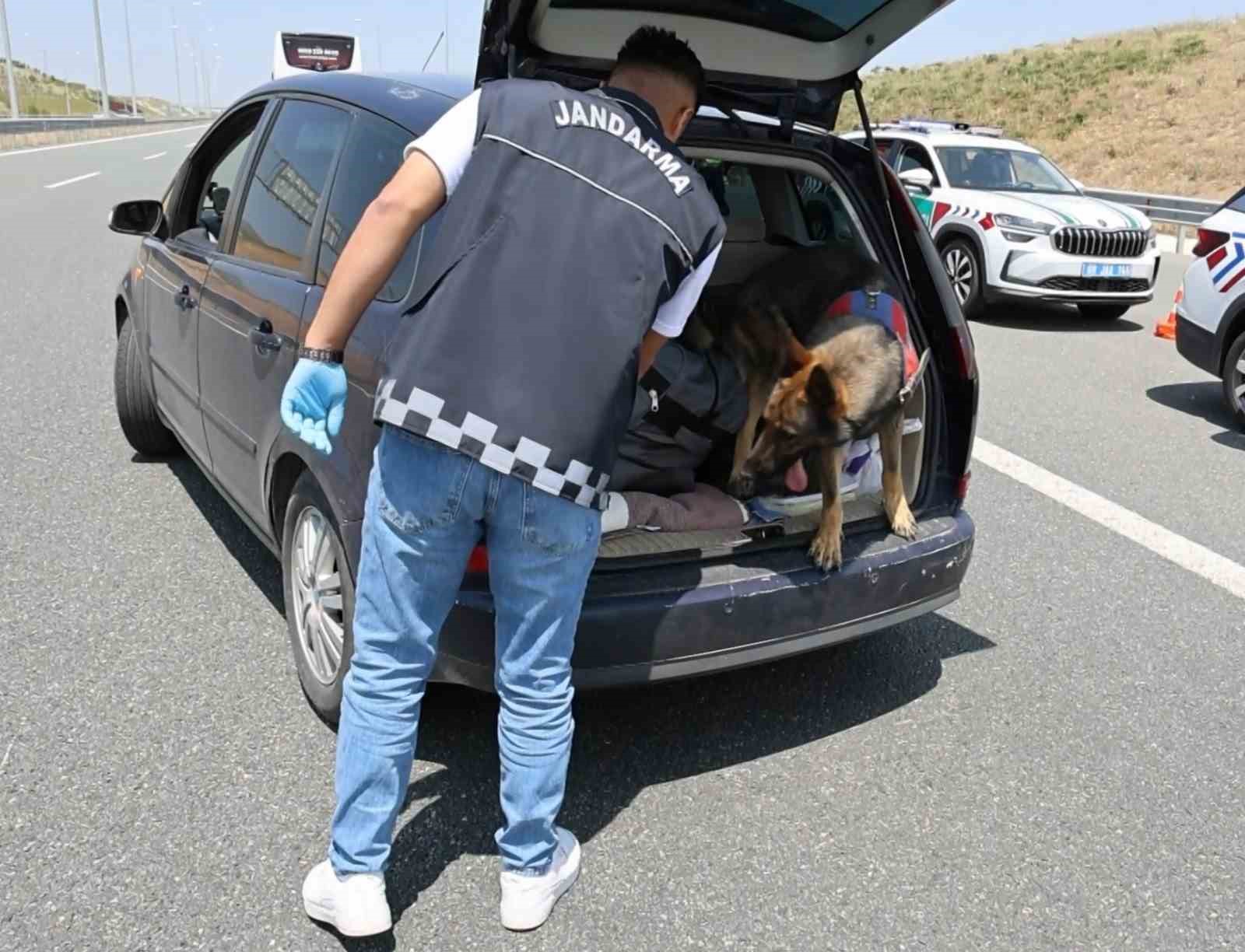 Koklayıp bulduğu uyuşturucuyu patisiyle böyle çıkarttı 