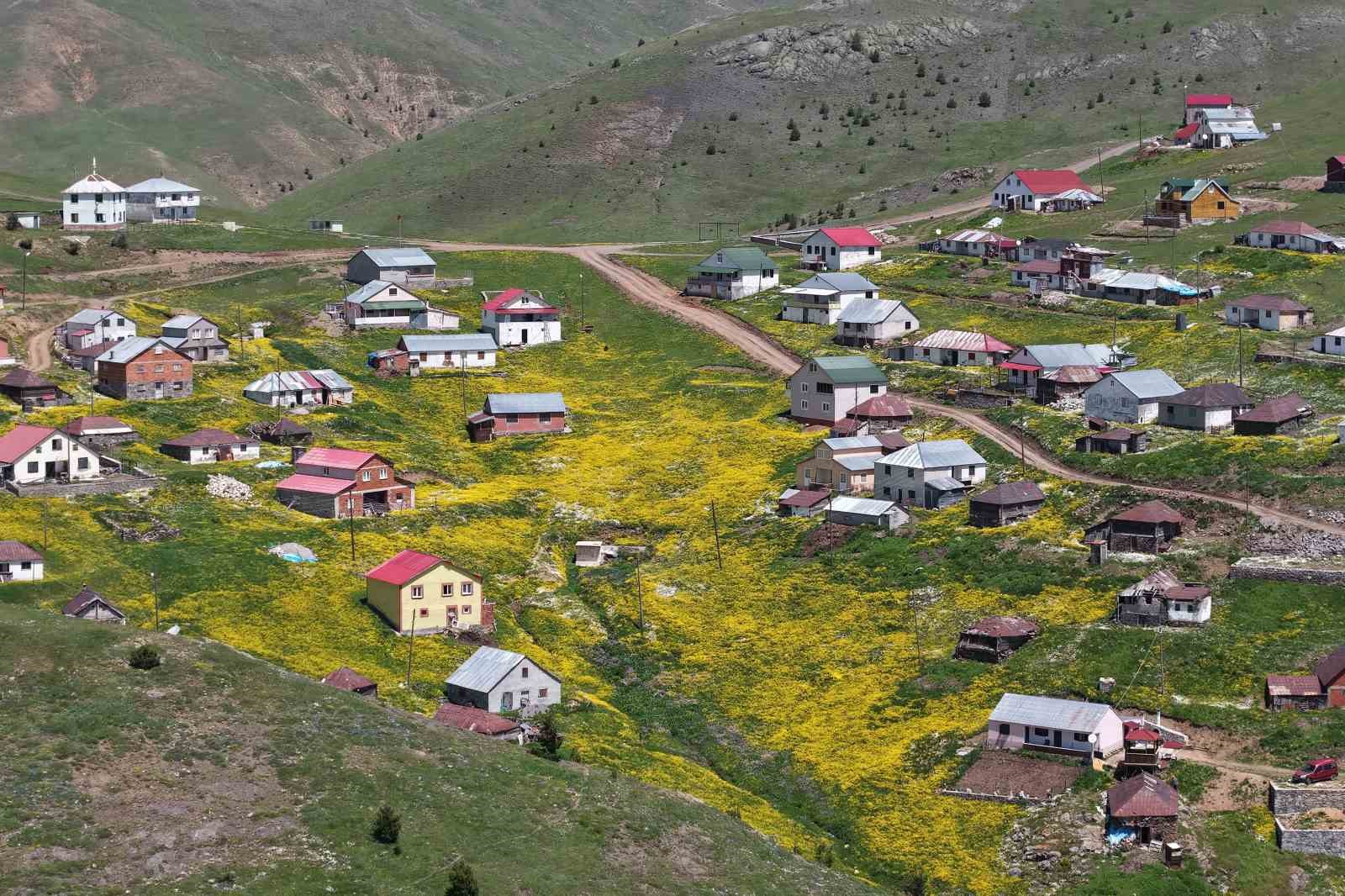 3 bin kilometreden gelip memleketini tanıtıyor 