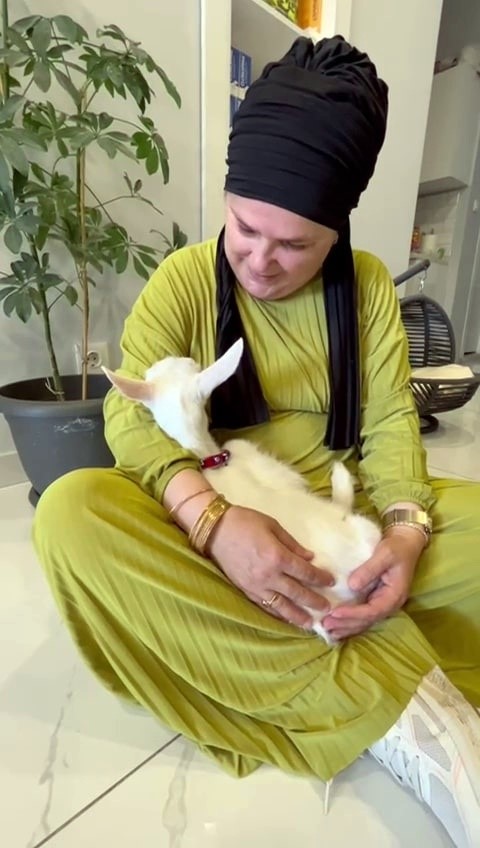Evcil hayvan otelinin sıra dışı misafiri: Biberonla beslenip kucakta uyudu 