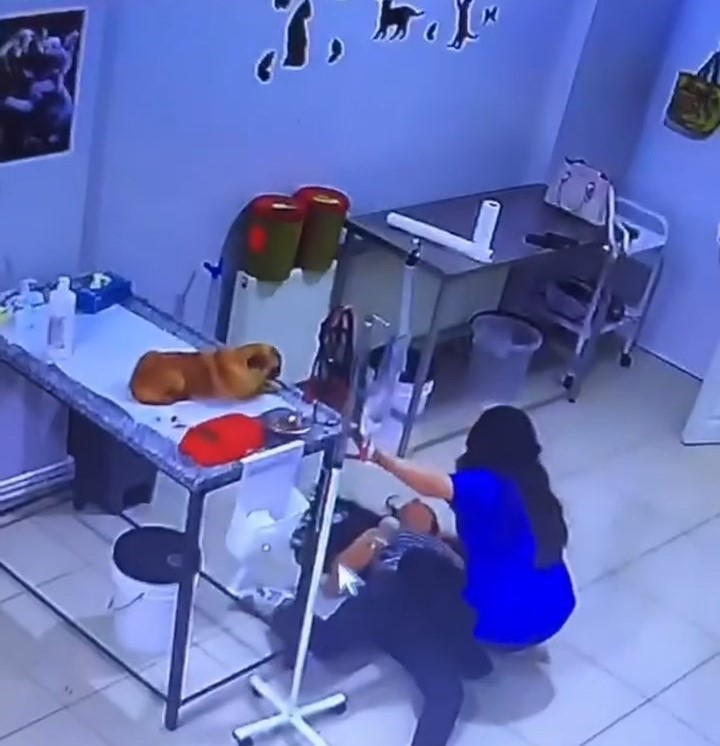 Veteriner kliniğinde köpeğini tedavi ettiren kadın bayıldı 