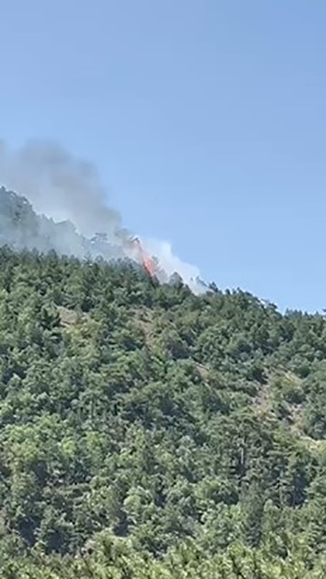 Ankara’da orman yangını çıktı