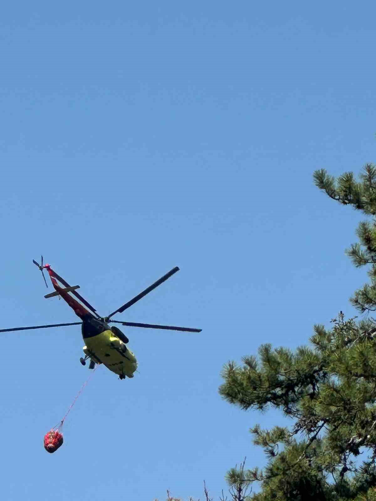 Ankara’da orman yangını çıktı 
