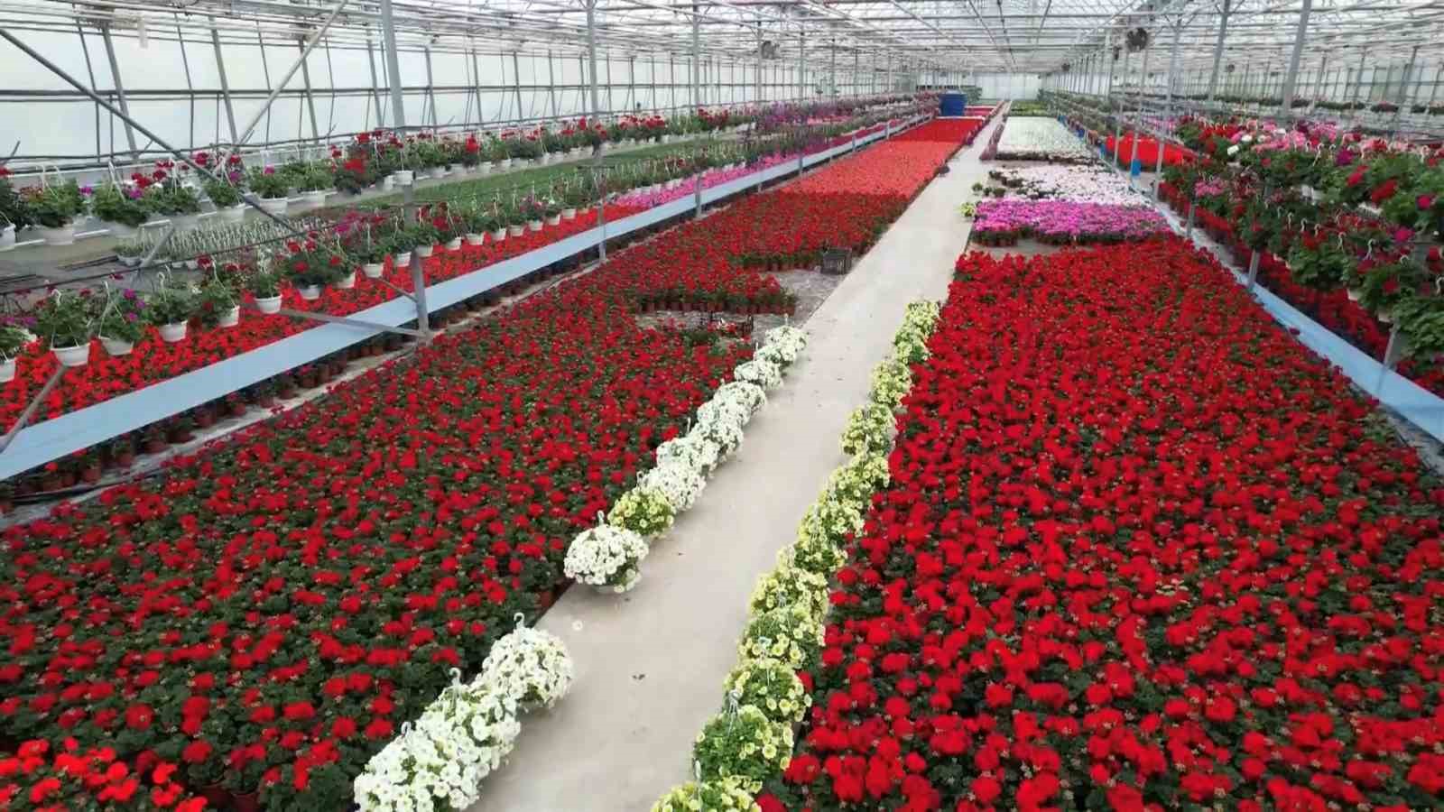 Yalova’dan 5 ayda 294 milyon dolarlık ihracat 