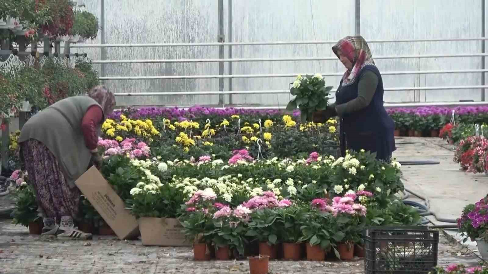 Yalova’dan 5 ayda 294 milyon dolarlık ihracat 
