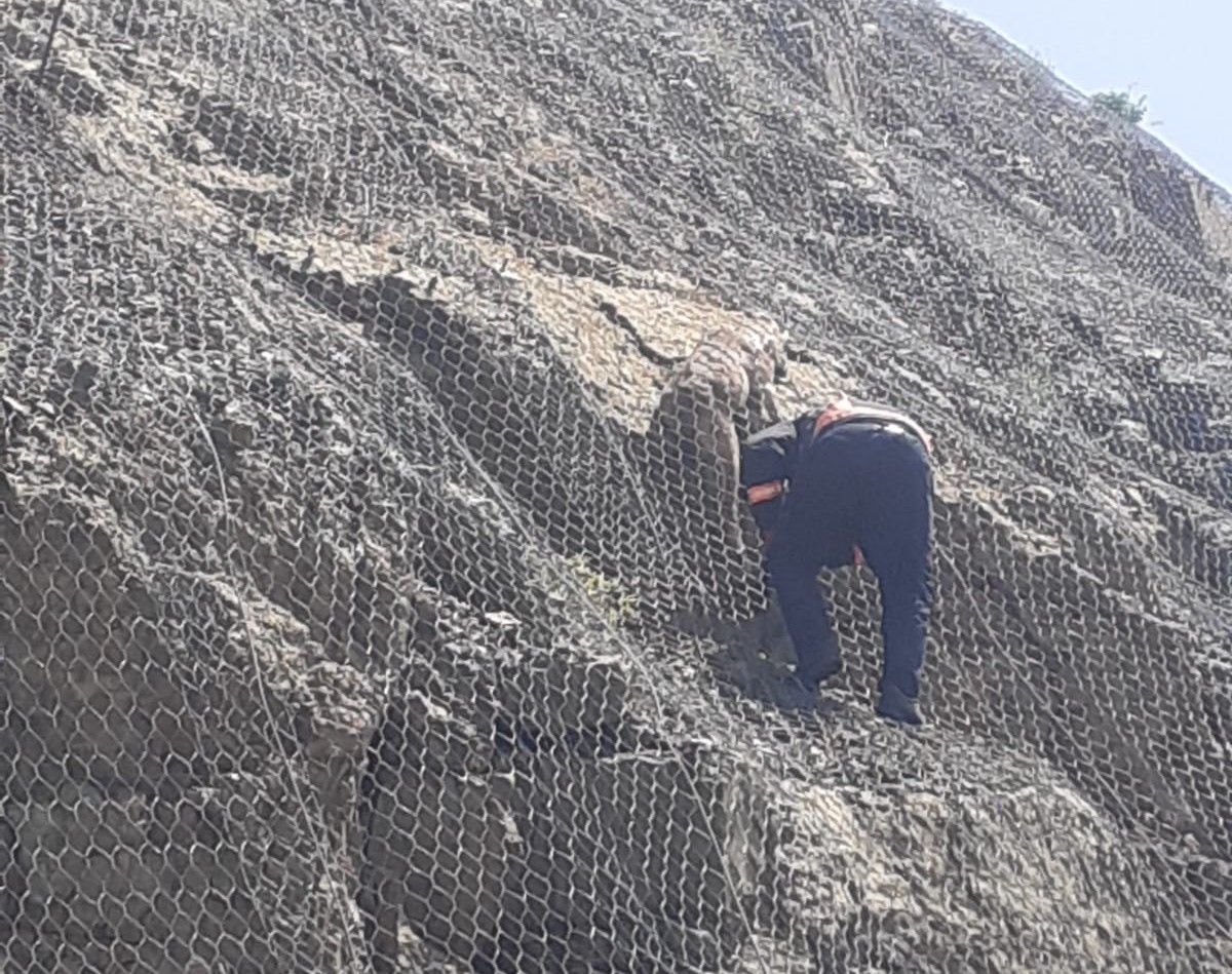 Malatya’da ağa takılan 2 yaban keçisi kurtarıldı 