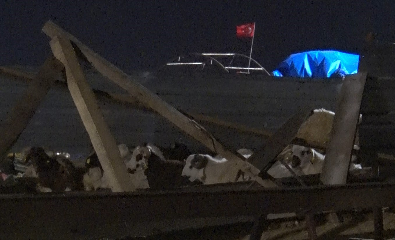 Ankara’da kurban pazarları toplanmaya başladı 