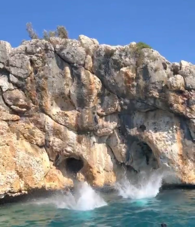 Tatilciler, mağarada Akdeniz fokuyla karşılaştı 