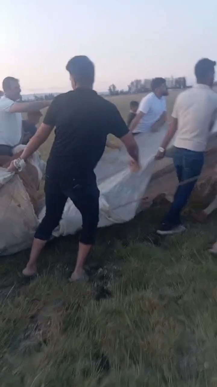 Arin Gölü’nde çamura saplanan inek kurtarıldı 