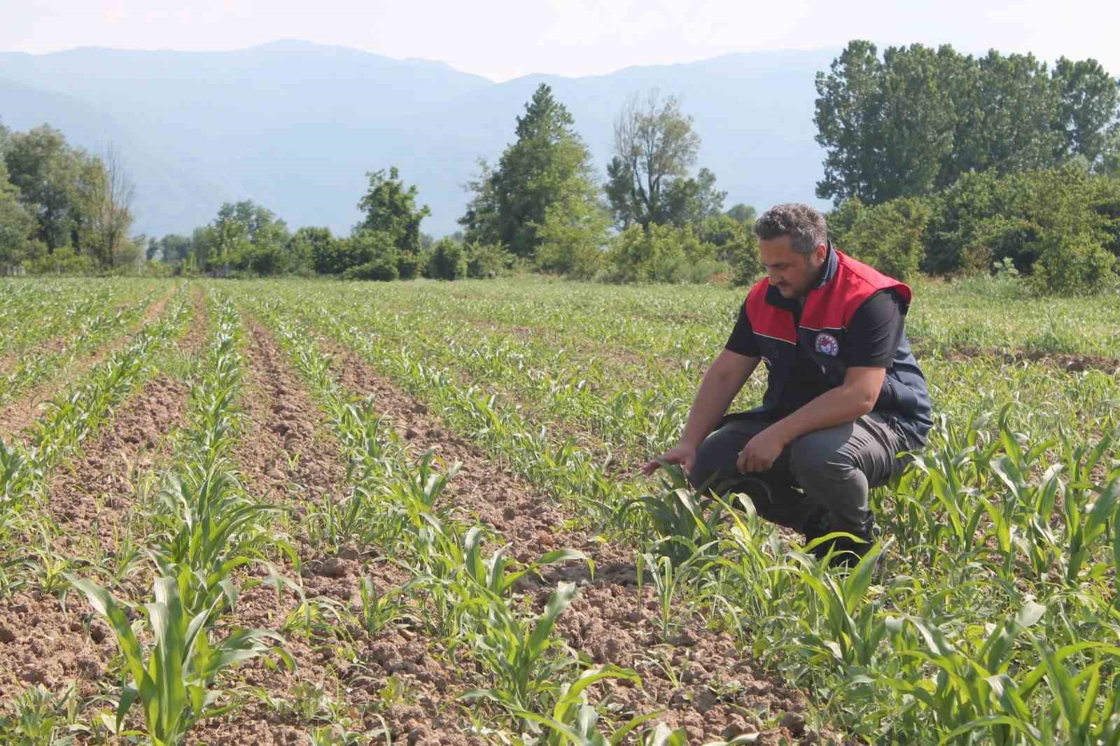 Son gün 10 Haziran