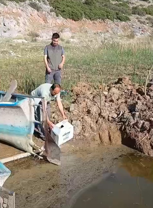 Isparta’da yaralı bulunan bahri kuşu tedavisinin ardından doğaya salındı 