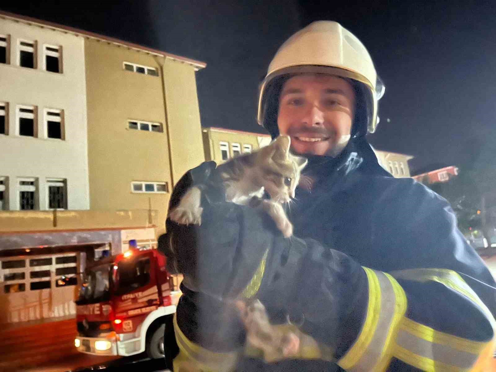 Okulun çatısında mahsur kalan yavru kedi, itfaiye ekiplerince kurtarı 