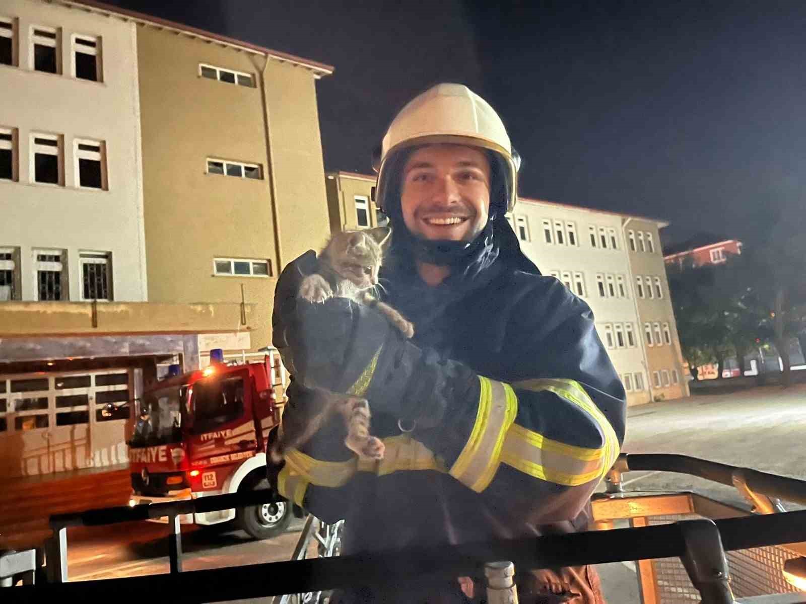 Okulun çatısında mahsur kalan yavru kedi, itfaiye ekiplerince kurtarı 