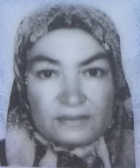 Mersin’de kekik toplarken uçurumdan yuvarlanan kadın yaralandı 