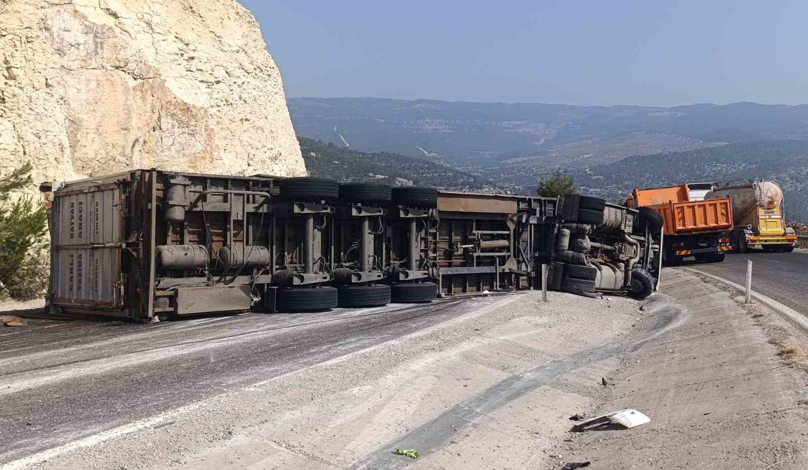 Angus yüklü tır devrildi, kaçan hayvanlar yakalandı 