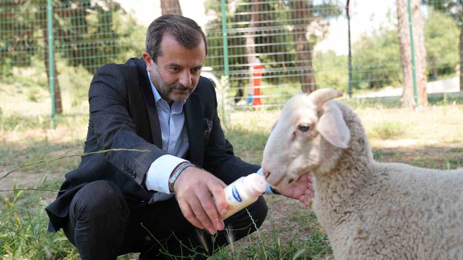Gürsu’ya butik hayvanat bahçesi 