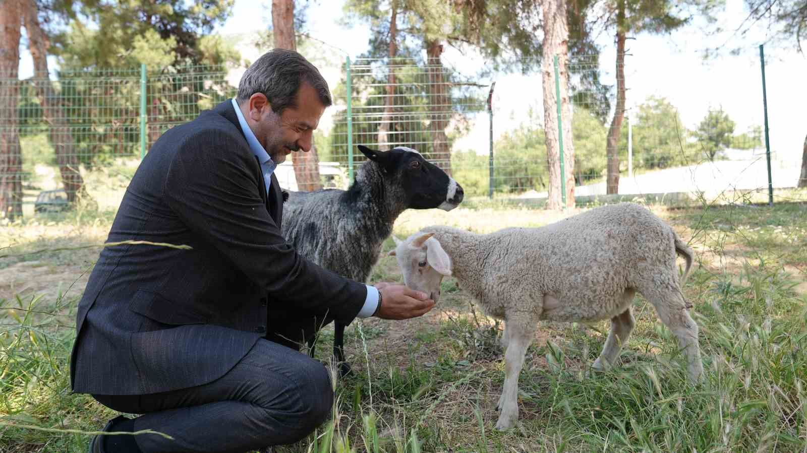 Gürsu’ya butik hayvanat bahçesi 