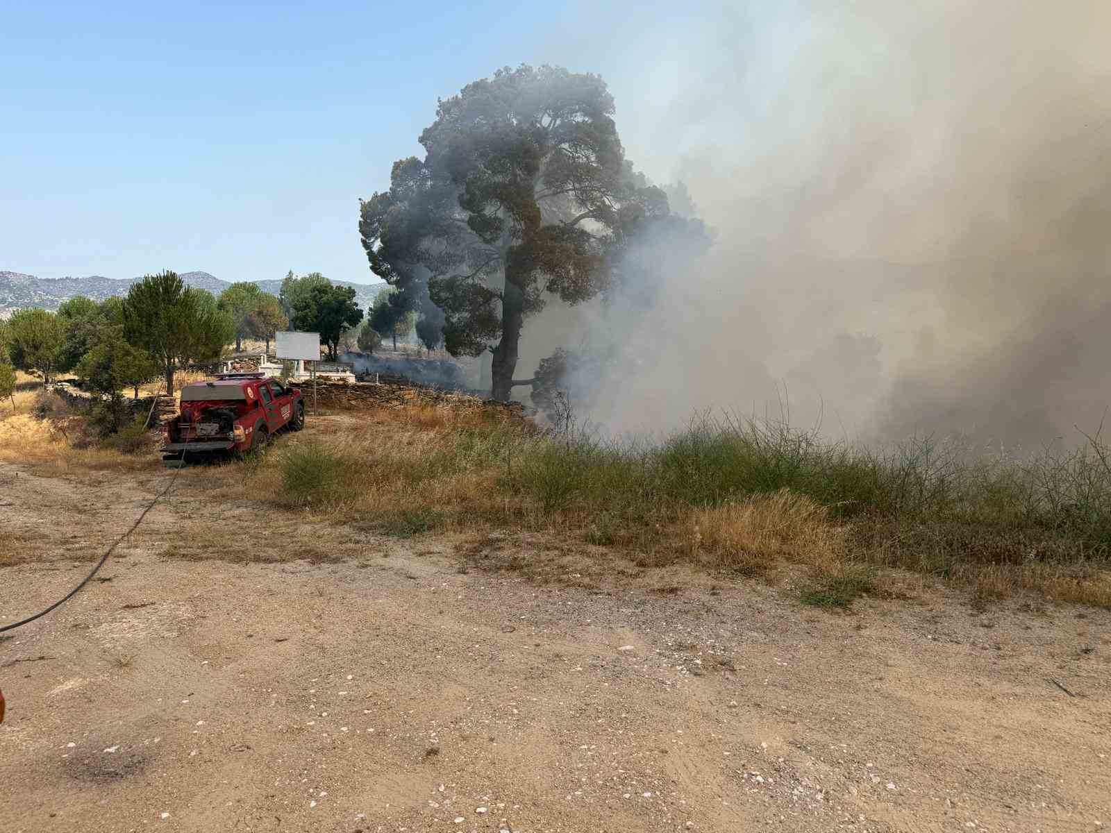 Orman yangını büyümeden söndürüldü 